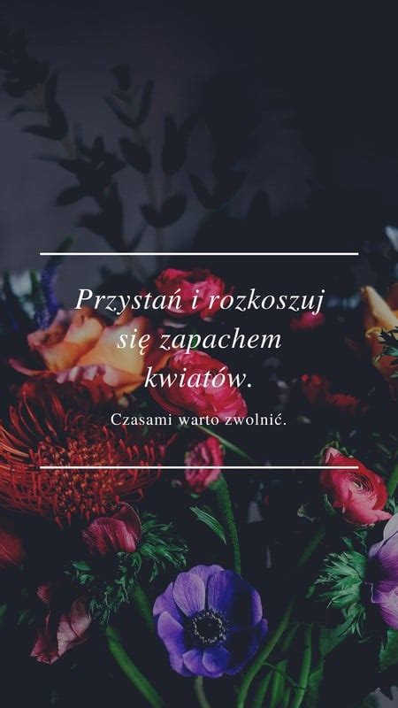 Cytaty Szablony Do Wydruku I U Ytku Online Canva