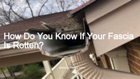 How Do You Know If Your Fascia Is Rotten Gutter Hq