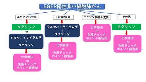 肺がんの個別化医療のまとめ がんゲノム医療・免疫治療 銀座みやこクリニック院長ブログ