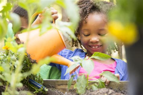 Estudo Mostra Que A Educa O Ambiental Deve Come Ar Na Pr Escola