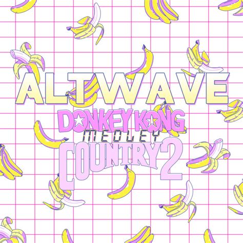 Donkey Kong Country 2 Medley | ALTWAVE