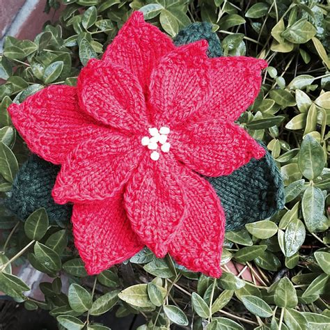 Ravelry Poinsettia Brooch Pattern By Anna Lisa Kanick