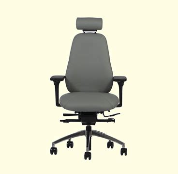 Ergonomic Chairs Height Adjustable Desks And Accessories Ergonomic