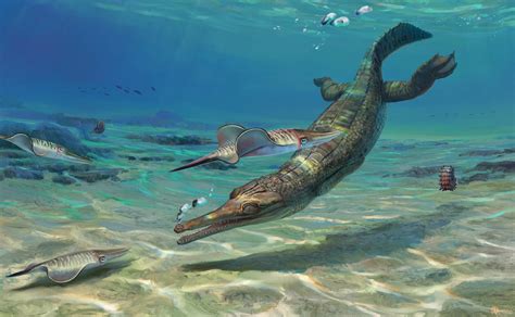 Jurassic Period Sea Creatures