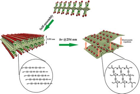 From 1D Polymers To 2D Polymers Preparation Of Free Standing Single