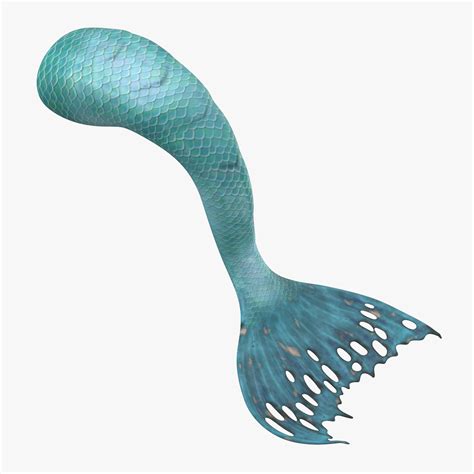 3d Mermaid Tail Turbosquid 1296701