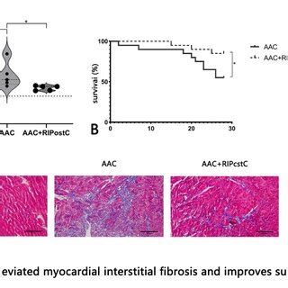 RIPostC Alleviated Myocardial Interstitial Fibrosis And Improves