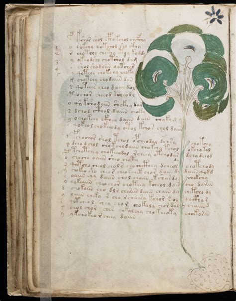 The Voynich Gallery The Complete Manuscript 3