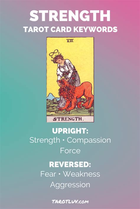 Strength Tarot Card Meaning Major Arcana TarotLuv