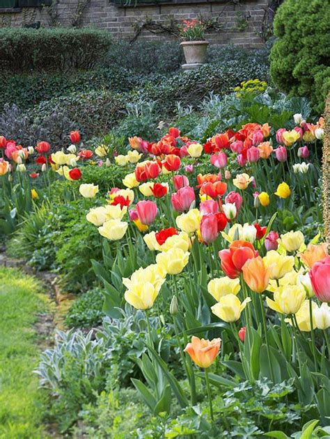 11 Gorgeous Ways To Design With Spring Bulbs In Your Garden Planting Bulbs Beautiful Gardens