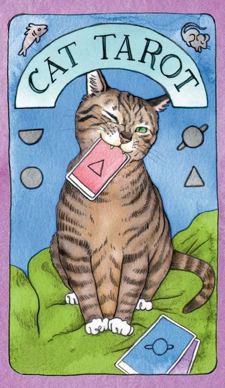 Cat Tarot Cards Guidebook Microcosm Publishing