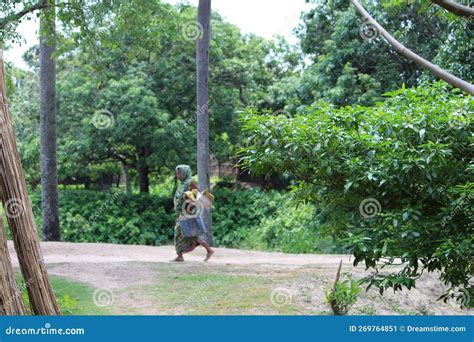 Rural Indian Village Landscape In Jangipur Murshidabad Old Lady Is