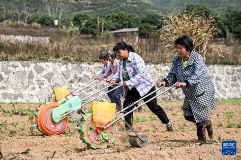 新春走基层丨广西兴业：春耕备耕抢农时 光明网