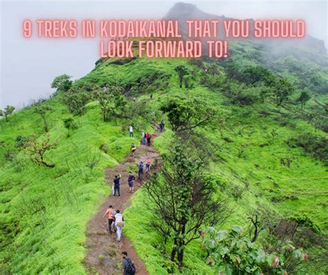 Treks In Kodaikanal That You Should Look Forward To