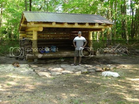 Building An Adirondack Lean To Very Pic Heavy Building Timber