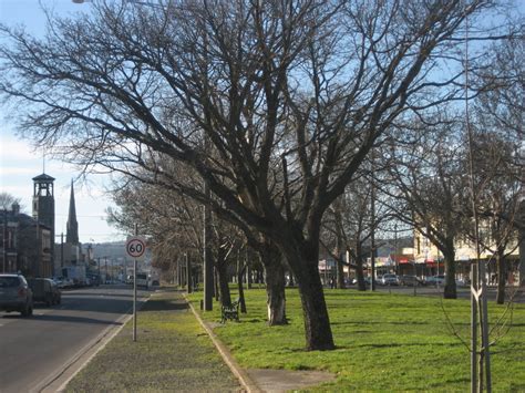 Photograph Colour Lj Gervasoni Sturt Street Gardens Ballarat 25