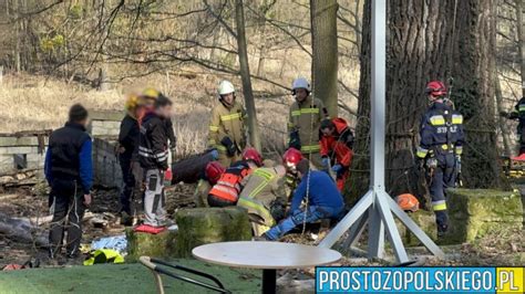 Wypadek przy wycince drzew na wyspie Bolko koło restauracji