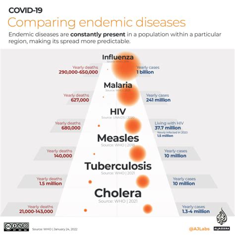 Infographic: Endemic vs pandemic diseases | Infographic News - WireFan ...