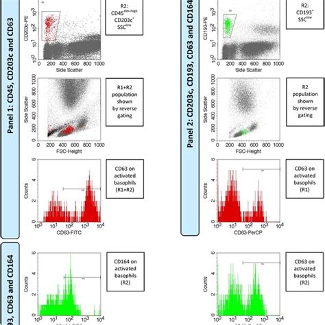 Flowchart Diagram Of The Flow Cytometry Data Analysis Download Scientific Diagram