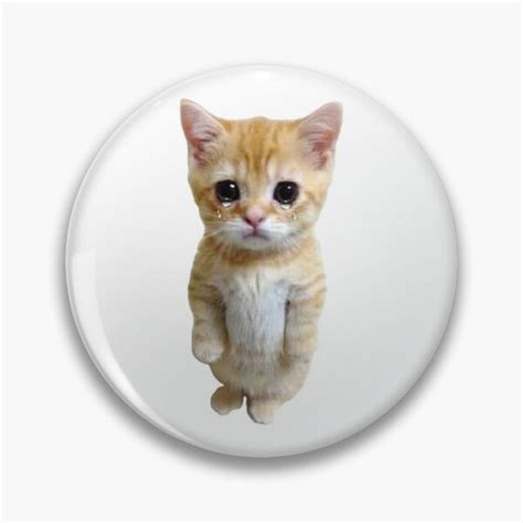 Hq Sad Crying Cat Standing Up Meme Pin By Fomodesigns Redbubble