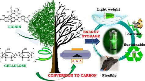 Review And Perspectives Of Sustainable Lignin Cellulose And