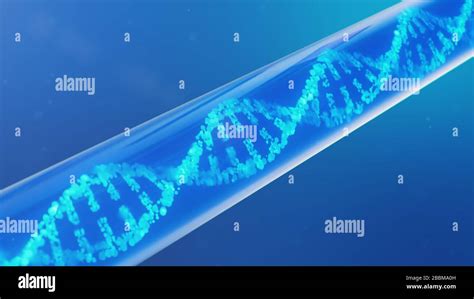 Mol Cula De Adn Su Estructura Concepto Genoma Humano Mol Cula De Adn