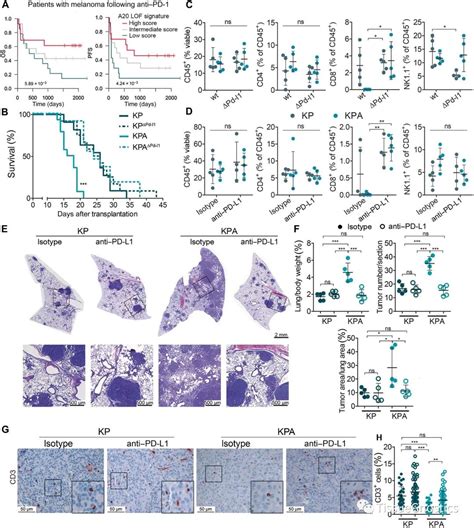 Sci Transl Medtissue Cytometry成为定义肺癌免疫治疗潜在生物标志物的新技术 企业动态 丁香通