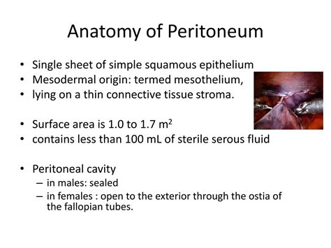 Solution Mastering Peritonitis And Intra Abdominal Abscesses A