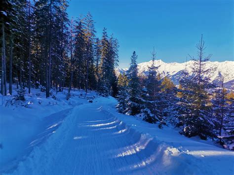 Rodeln Rinner Alm 9 2 Berichte Zu Berg Ski Und Rad Touren