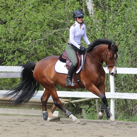 Teri on Twitter: "@JebraFaushay Ride a horse... Horseback riding really