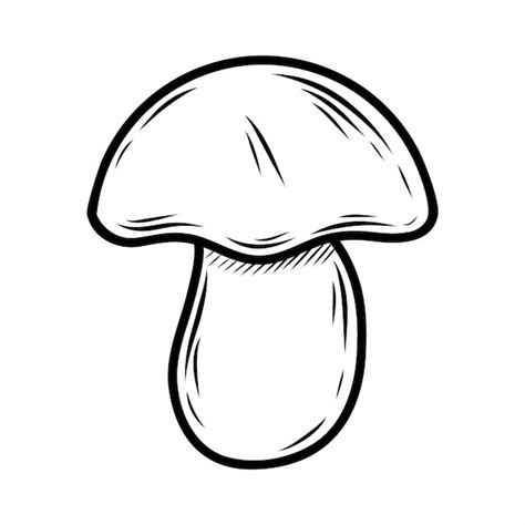 Premium Vector Mushroom On White Background Vector Doodle Illustration