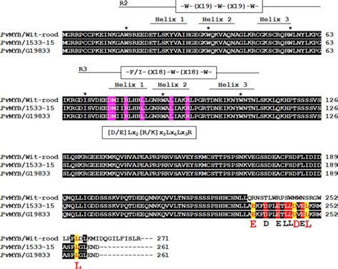 Sequence Alignment Of An R R Myb Protein Encoded By The Gene