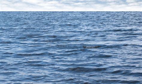 Small Waves On Pure Blue Sea Water With Cloudy Sky Stock Photo Image