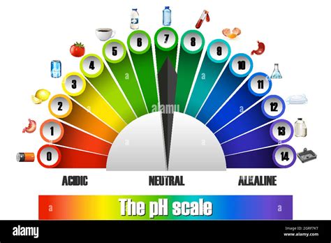 The Ph Scale On White Background Stock Vector Image Art Alamy