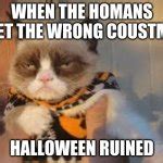 Grumpy Cat Halloween Meme Generator Imgflip