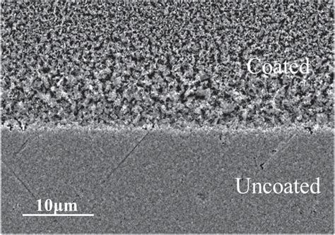 Sem Image Of The Boundary Between The Ag Nanoparticle Film Coated Side