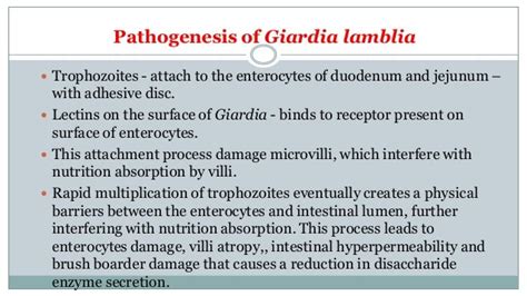 Giardiasis