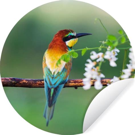 WallCircle Muurstickers Behangcirkel Vogel Bijeneter Bloemen