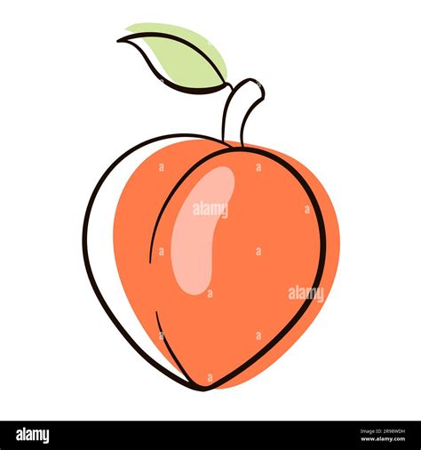 Peach Fruit Line Art Cartoon For Food Apps And Websites Stock Vector