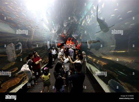 Dubai, United Arab Emirates, the Dubai Aquarium Tunnel visitors in the ...