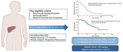 Multicentre Phase II Trial Of Cabozantinib In Patients With