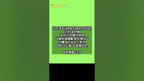 오늘의 성경 말씀 한구절 요한복음 15 5 예수 성경 Youtube