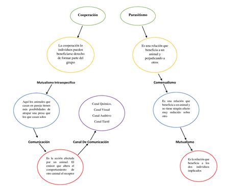 Mapa Mental Cooperaci N La Cooperaci N Lo Individuos Pueden