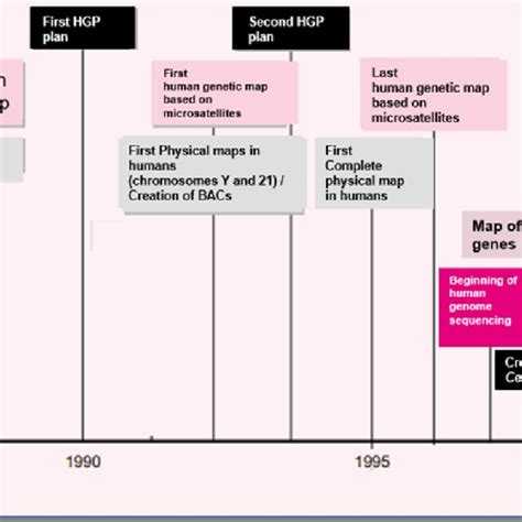 Timeline Of The Main Steps Involved In The Human Genome Project Hgp Download Scientific