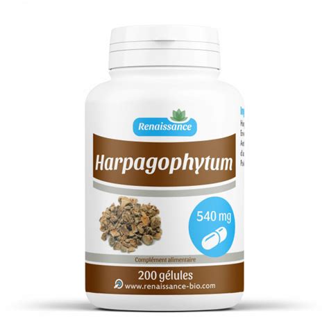 Harpagophytum 540 mg 200 gélules