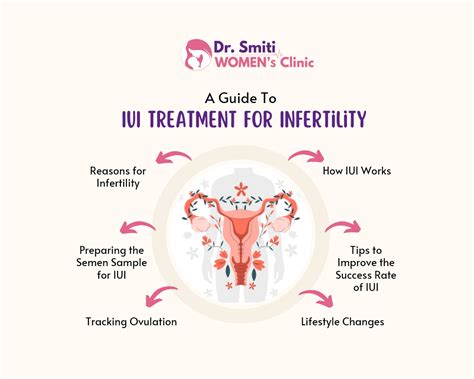 A Guide To Iui Treatment For Infertility