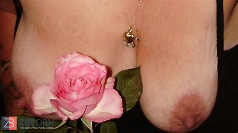 Suzie And The Rose ZB Porn