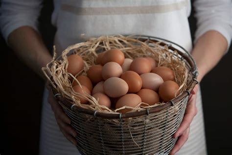 You know what they say about eggs in a basket? Maybe you should ignore ...