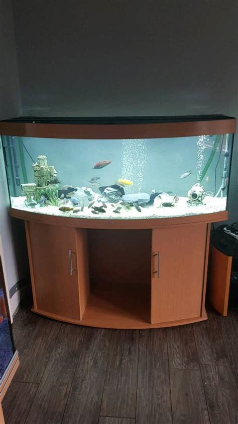 5ft Juwel Vision 450 L Fish Tank In Burnley Lancashire Gumtree