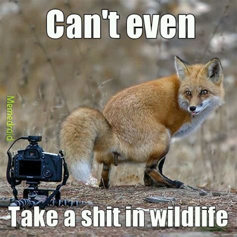 National Wildlife Day Memes - Nerd News Social